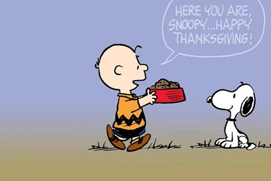 Wallpapers Chris Brown Snoopy Peanuts 1366x768