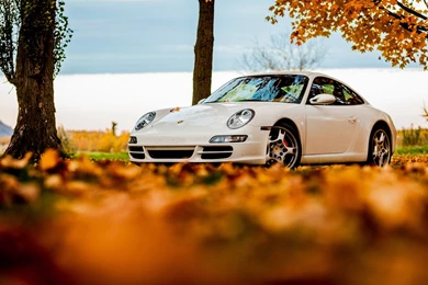 90 Porsche 911 HD Wallpapers