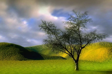 Nature Wallpapers Santabanta