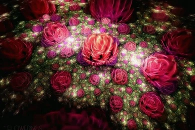 Rose Garden Wallpaper, Rose Wallpapers