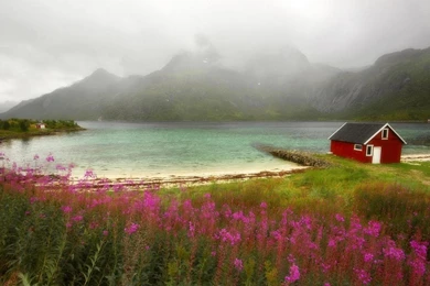 Red Houses Wallpapers