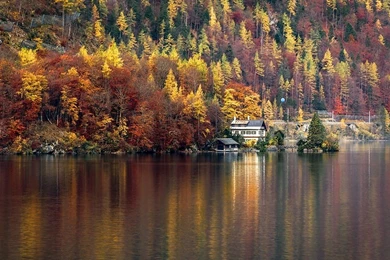 Nature, Landscape, Lake, House, Forest, Hallstatt, Austria, Trees ...