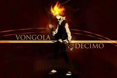 VONGOLA DECIMO WALLPAPER   (