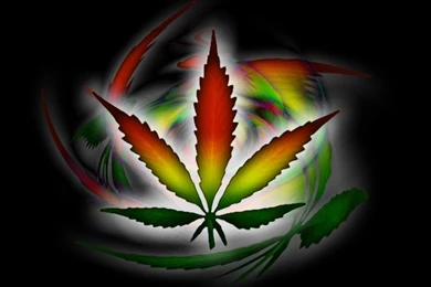 Multi Coloured HD Weed Wallpapers   HD Weed Wallpapers