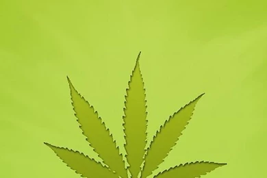 Weed Wallpapers HD   Android Apps And Tests   AndroidPIT
