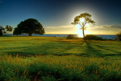 Cool Wallpapers 1FR   66 Wallpapers