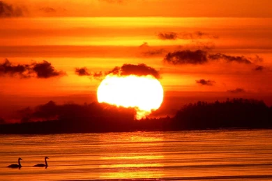 Ocean Sunset Wallpapers