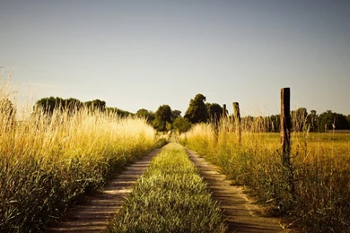 Country Wallpapers Collection (19+)