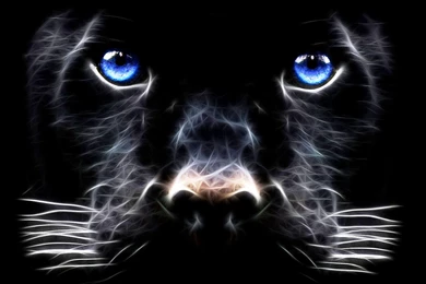 Free Animated Backgrounds For Windows 7 Beauty Wallpapers Photos Of ...