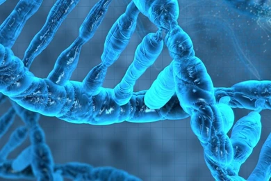 Biochemistry (Molecular And Cellular)