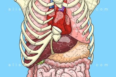 Biochemistry   DeviantArt