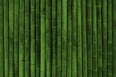 Green Backgrounds HD Wallpapers   HD Wallpaper Backgrounds Of Your ...
