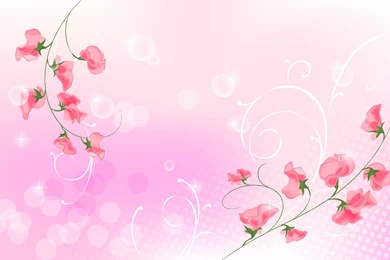 Pink Wallpapers 492 Backgrounds Awesome