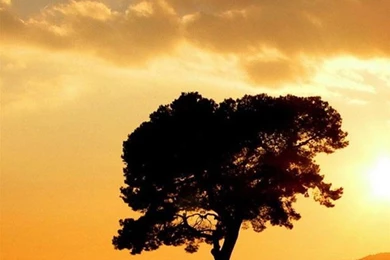 Sunset iPhone 6 Wallpapers HD