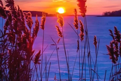 Sunset Snow Grass Winter Wallpapers For Iphone