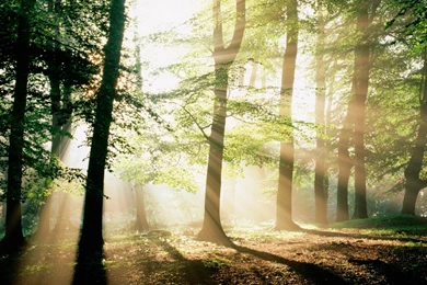 Mystical Wallpapers — Free Full HD Wallpaper. Widescreen HQ ...