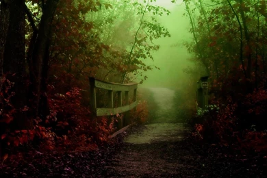 Mystical Trail Wallpapers   (