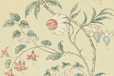 Chambalon Wallpapers By Zoffany