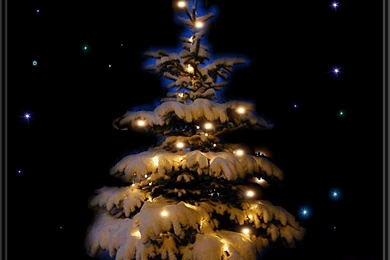 Christmas Tree Wallpapers HD