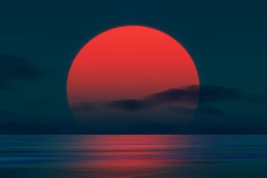 Orange Red Purple Tulips Wallpapers