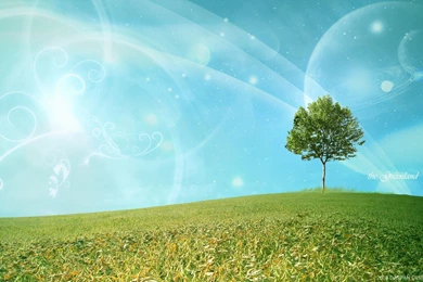 Greenland Wallpapers   Wallpapers Cave