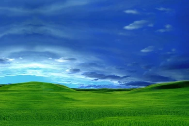 Wallpapers Green Land High Quality Beautiful Grass X 1920x1200 ...