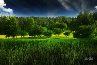 Green Land Picture, Green Land Photo, Green Land Wallpapers