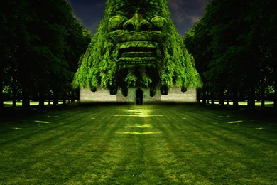 Beautiful Green Lands   Typta.com