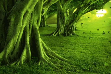 Cute Backgrounds Wallpapers