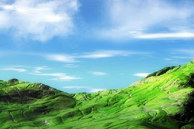 Beautiful Green Lands   Typta.com