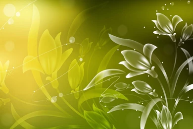 Wallpapers Full Colour Flowers Garden Abstract Colorfull Hd ...