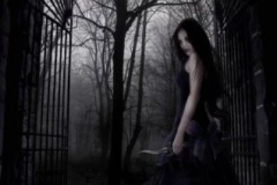 Zedge Net Wallpapers