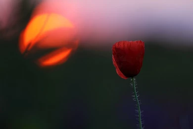 Hd Nature Wallpapers, Natural Images, Cute Desktop Images, Nature ...