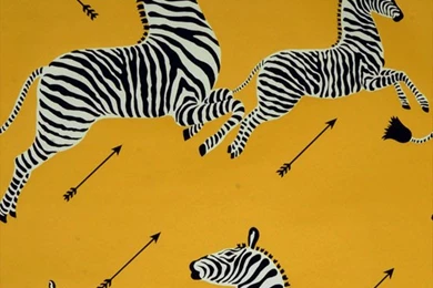 Zebras Wallpaper, Yellow   Eclectic   Wallpapers   By Digs
