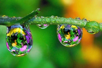 Water Drops HD 13