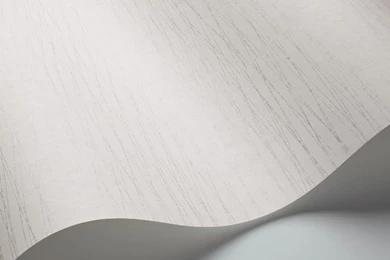 Paper Wallpapers / Contemporary / Striped   DECORAMA EASYUP 13   Eco