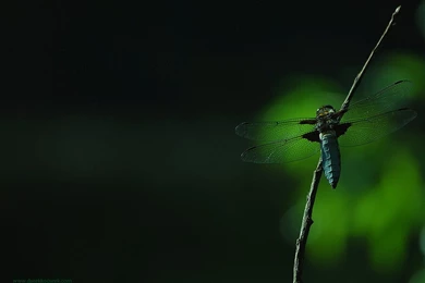 Wallpapers In Darek Kocurek Gallery