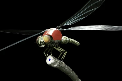 202 Dragonfly HD Wallpapers