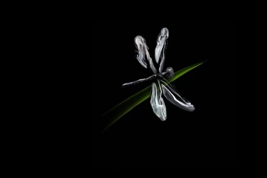 1920x1080 Dragonfly, Match, Smoke, Background, Black Wallpapers ...