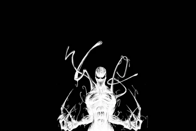 Spiderman Wallpapers [8]   (