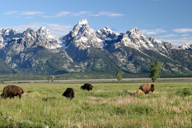 Wallpapers Yellowstone Parc National De Tats Unis Fonds D Cran ...