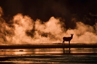 Beautiful Yellowstone Wallpapers 28668 1920x1080 Px ~ HDWallSource.com