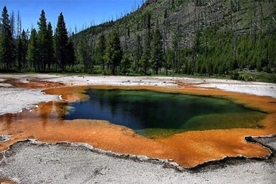 Yellowstone Wallpapers HD FREE   Android Apps And Tests   AndroidPIT