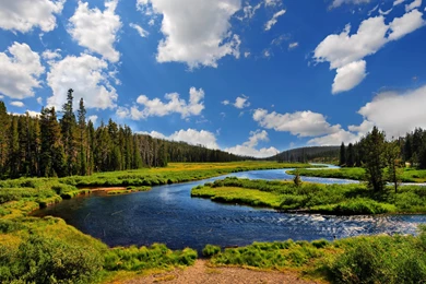 Snake Waterfall (id: 190157) – BUZZERG