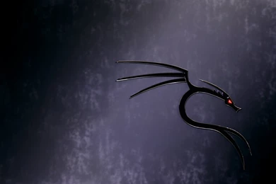 DeviantArt: More Like Kali Linux BackTrack Wallpapers Green V.1 By ...