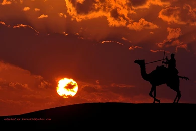 The Camel Rider Wallpapers And Images   Wallpapers, Pictures, Photos