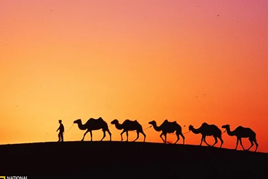 National Geographic Photo Contest 2010 Global Chin － Landscape ...