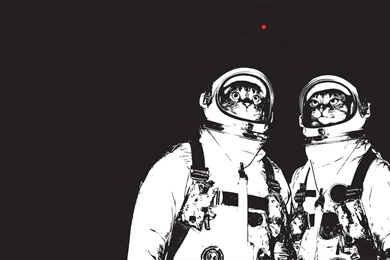 For Those Who Like Cats And Space And Wallpaper.   Imgur