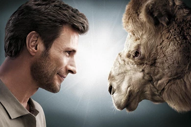 I Love A Camel >> HD Wallpaper, Get It Now!