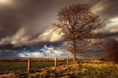 Holstein Beautiful Landscape Photography Wallpapers 8 － Landscape ...